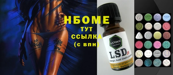дмт Каменка