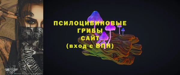 дживик Ладушкин