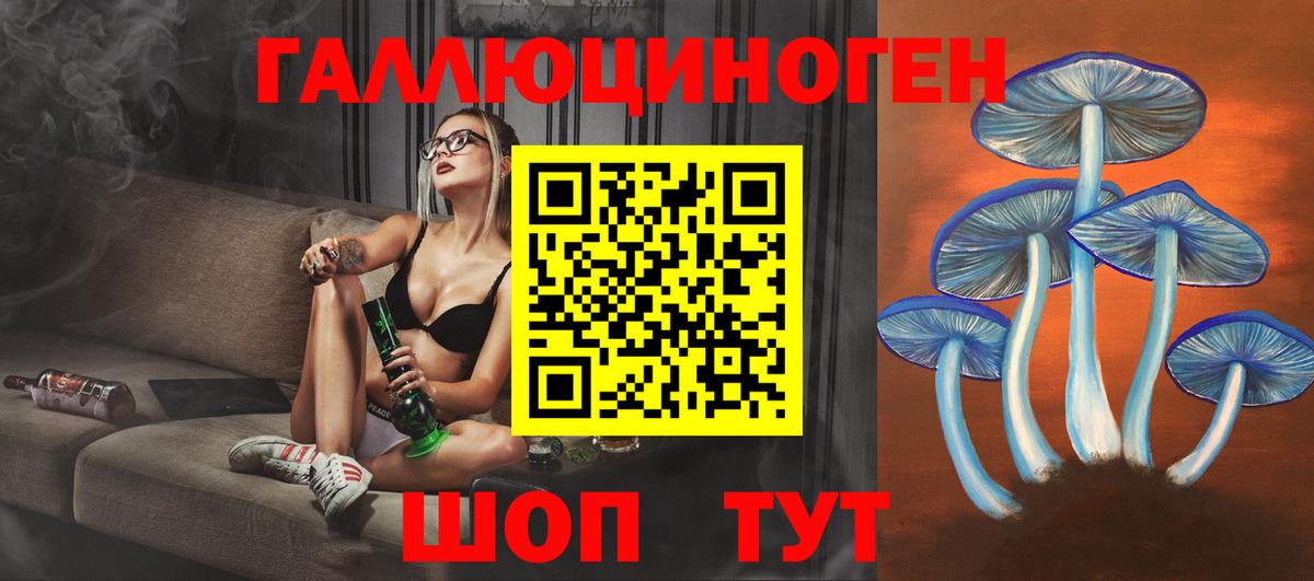 Псилоцибиновые грибы прущие грибы  Вход с VPN  Конаково  Псилоцибиновые грибы Psilocybe 