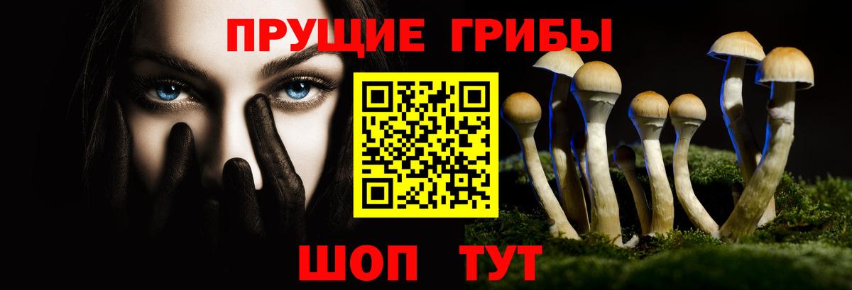 Галлюциногенные грибы мухоморы Конаково